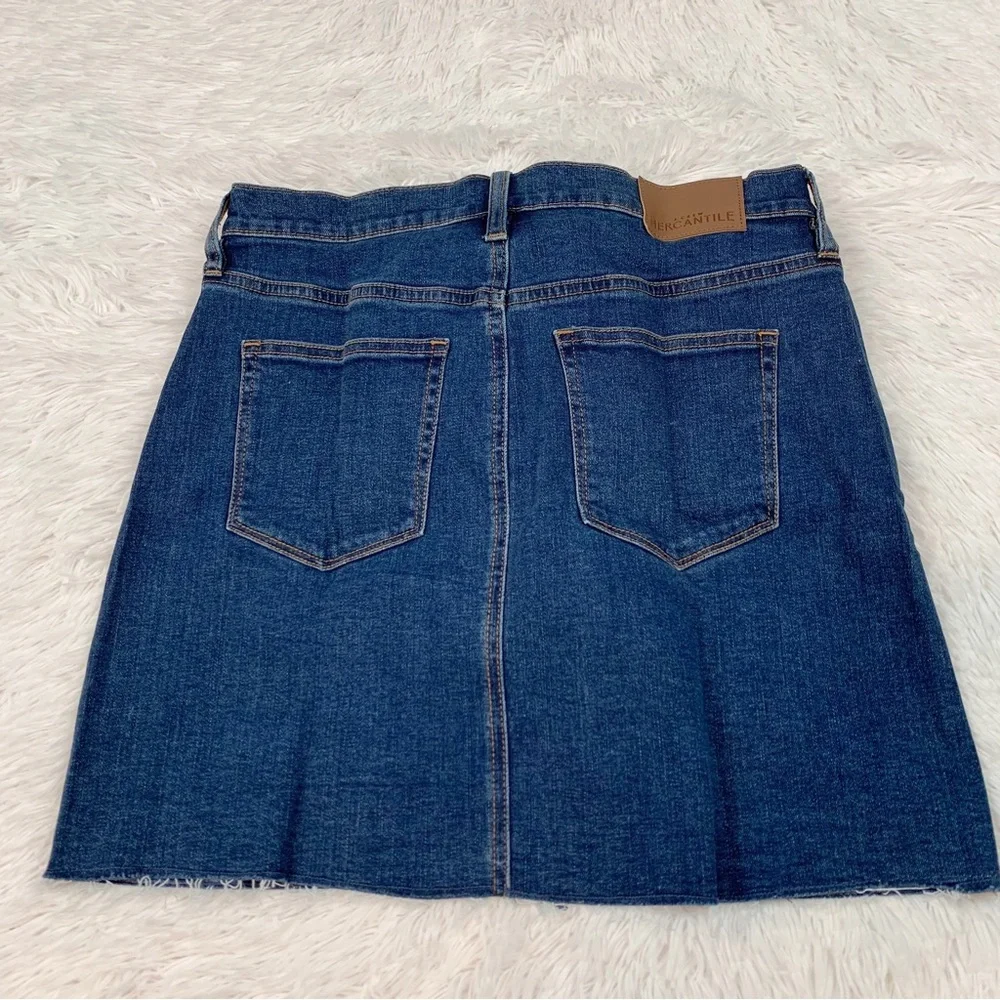 J‎ Crew Raw edge floral embroidered denim a-line mini skirt in blue